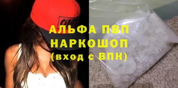 гашик Порхов