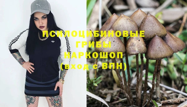 прущие крисы Похвистнево