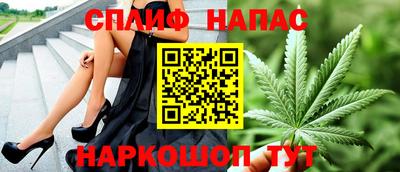 гидра Донецк