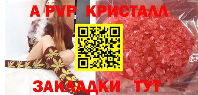 ECSTASY Дубна