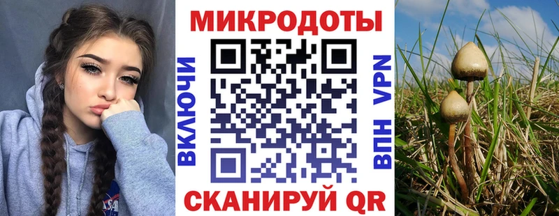 KRAKEN ССЫЛКА  где найти   Советский  Псилоцибиновые грибы Magic Shrooms 
