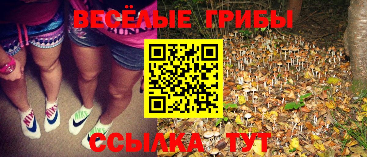 Псилоцибиновые грибы мицелий Советский