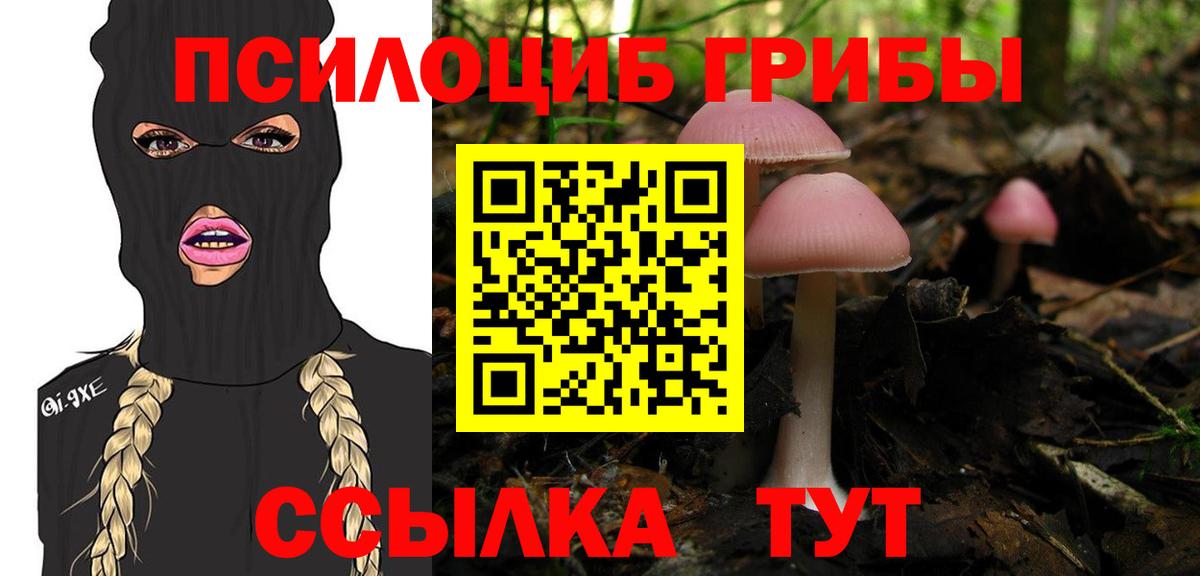 Советский  Псилоцибиновые грибы Psilocybe  Вход с VPN 